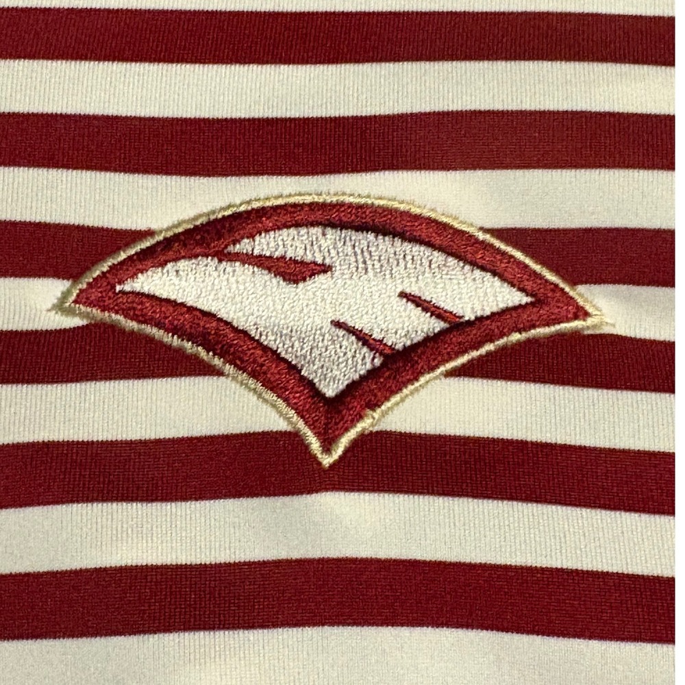 Nike Golf ECS Evangelical Christian School Dri-FIT Striped Polo Mens XXL NEW - Picture 2 of 13